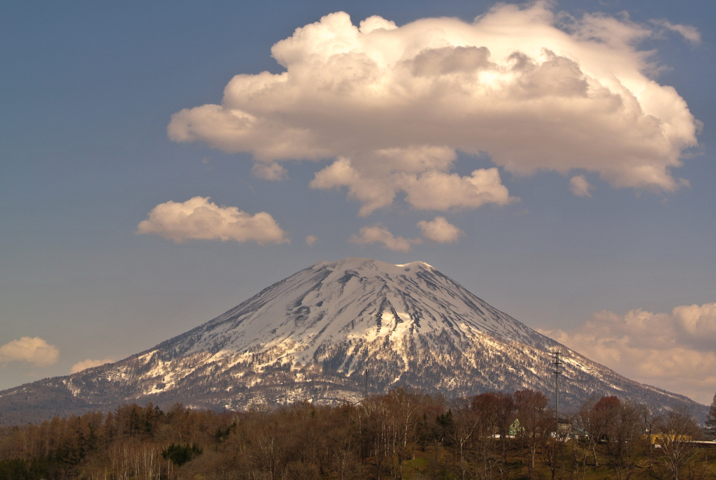 エゾフジと雲