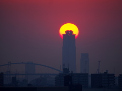 年に１度の・・・