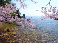 海津大崎にて