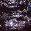  DarkLight
