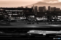 Tokyo Airport 