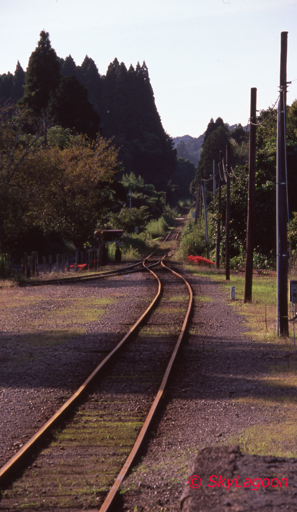 鉄路の彼岸花