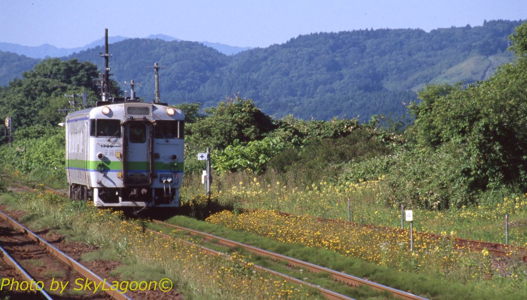 真夏の函館本線