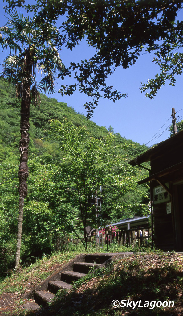 秘境駅「坪尻駅」