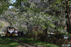 春風のストーブ列車