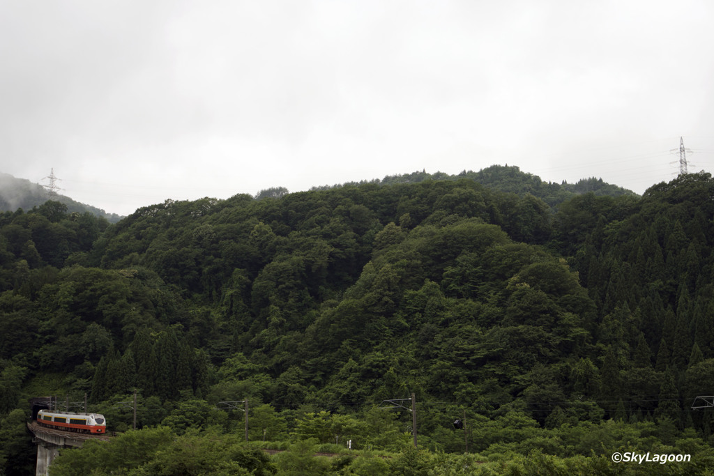 もうすぐ梅雨明け・・・