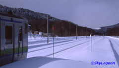 雪路