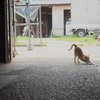 春の陽気に