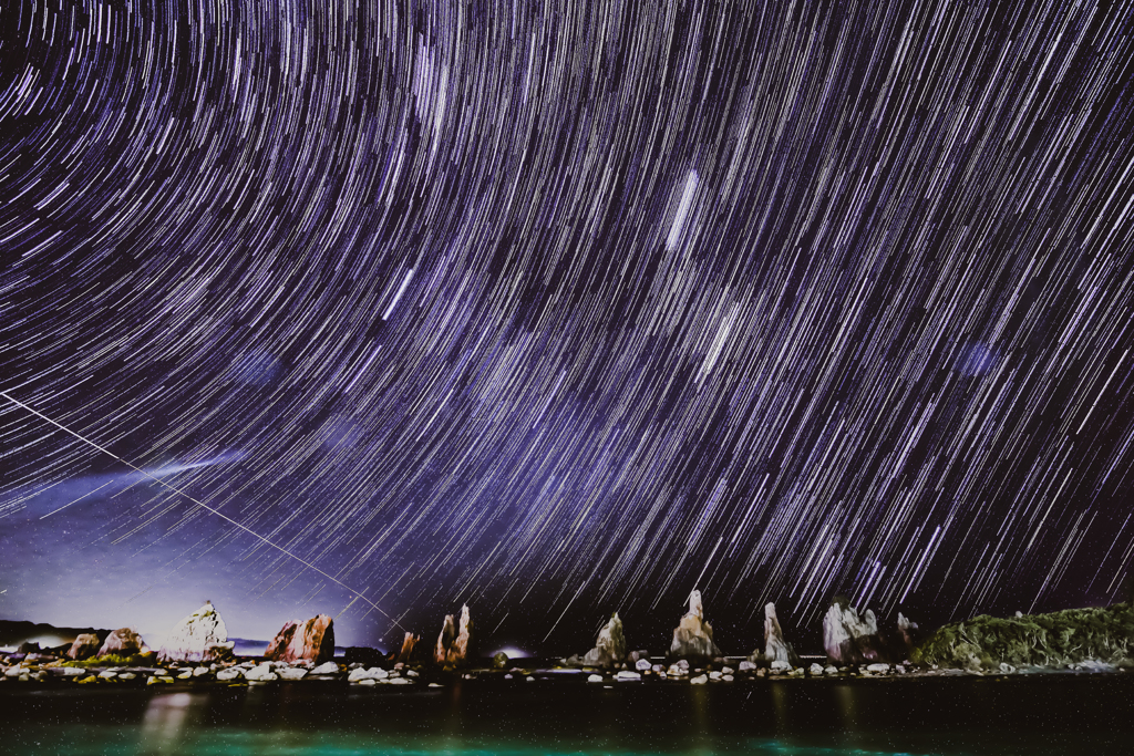 Starly Night