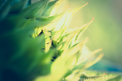 もうすぐ…~another cut~