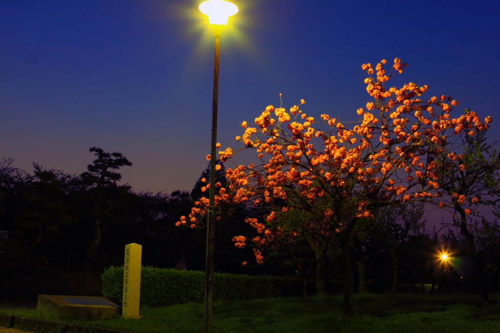 夜明け前