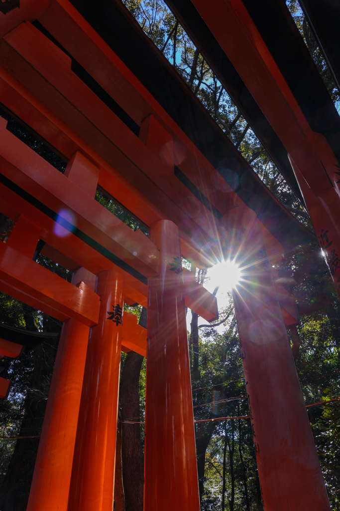 京都は春めいて～稲荷大社編その二～