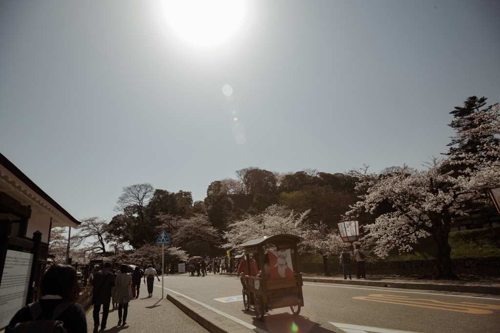 太陽が見てる