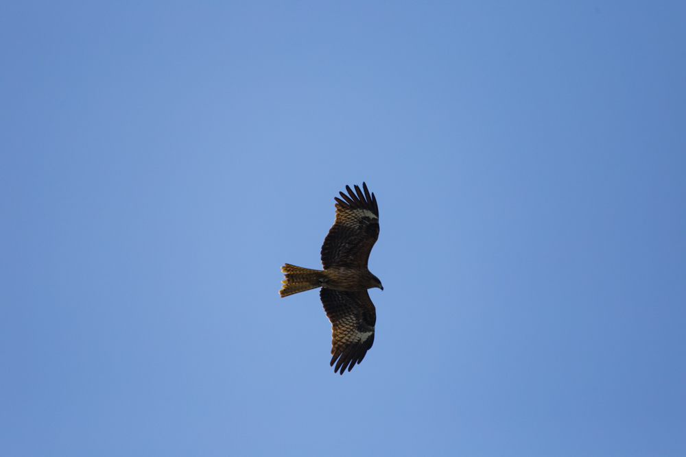 ワレハユク～その二～