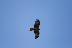 ワレハユク~その二~