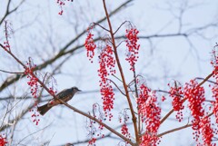 それでも春は来る【其の参】