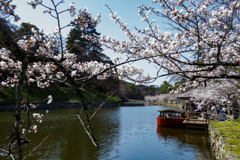 春の彦根城散策記～その二～