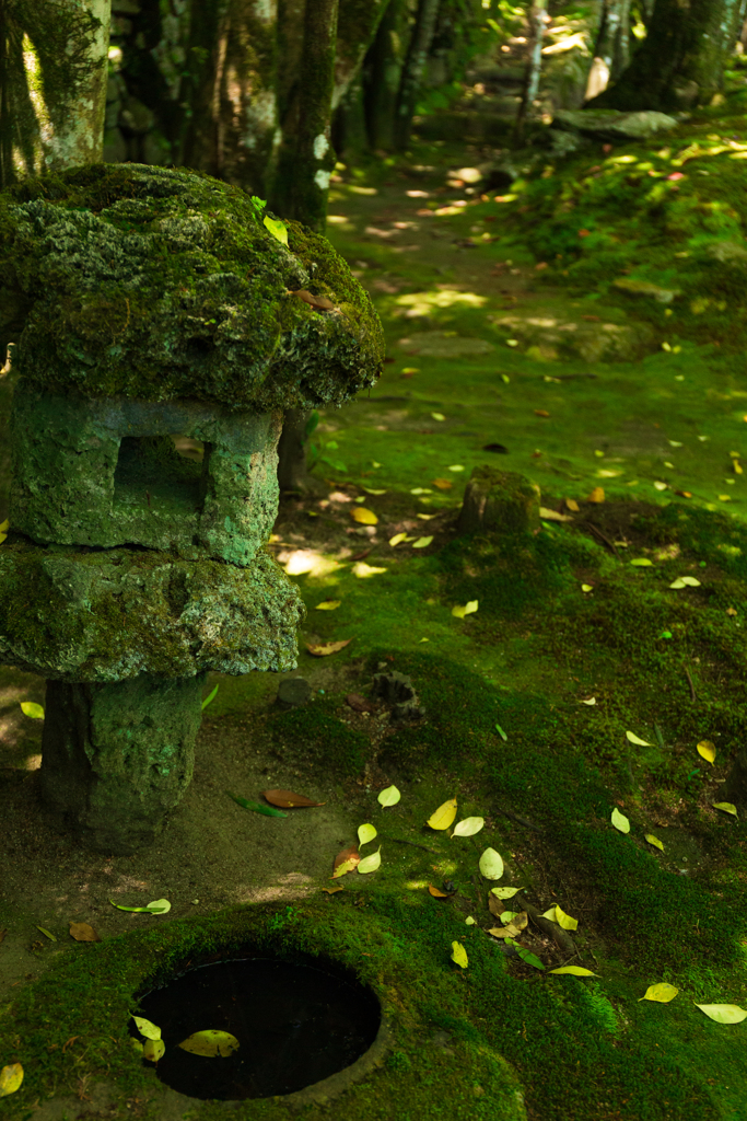 旧竹林院庭園散策