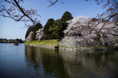 春の彦根城下散策記～その一～