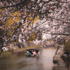 桜の季節の八幡堀