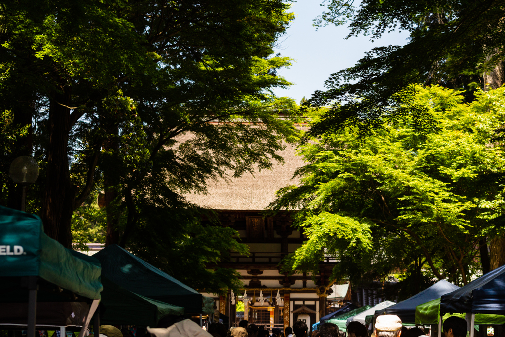 沙々貴神社「もりあそび」