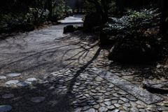 春めいて・京都～梅小路公園編その四～