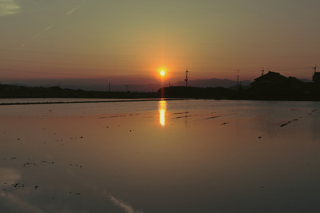 田んぼの夕焼け