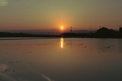 田んぼの夕焼け