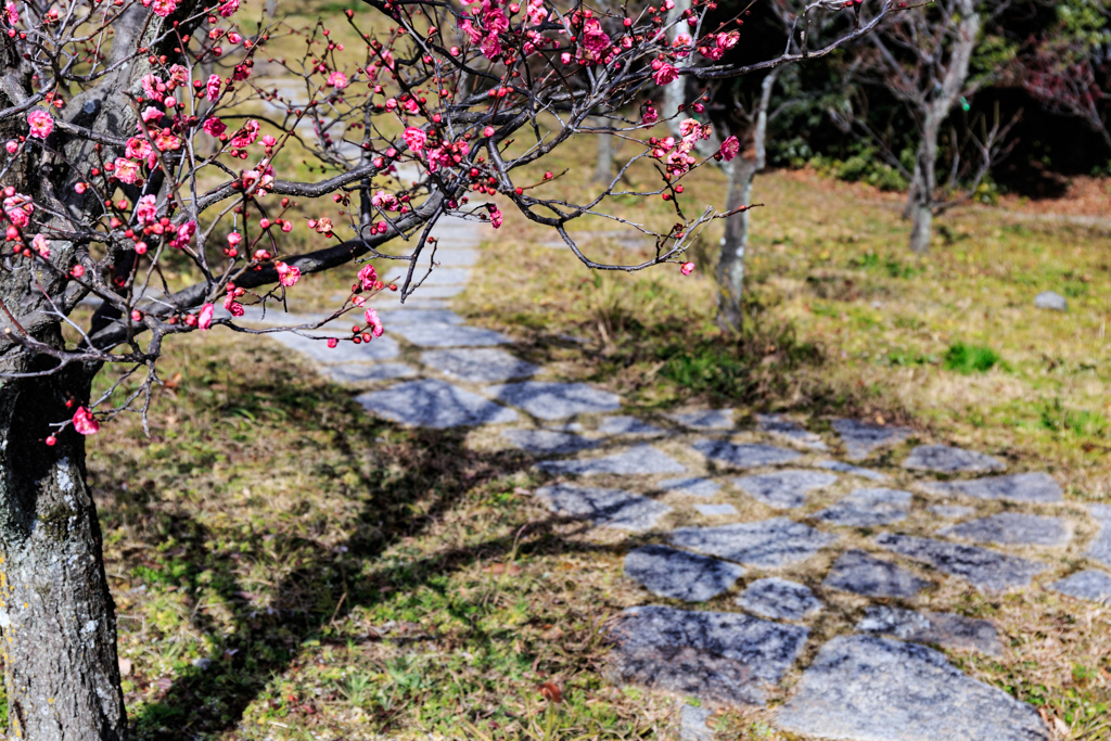 春めいて…京都～梅小路公園編その弐～