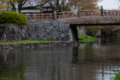 散るもまた~八幡堀散策～