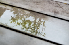 雨の休日
