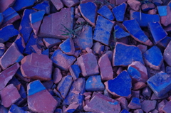 IMGP0843