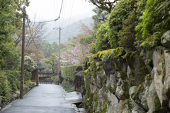 20170408-京都