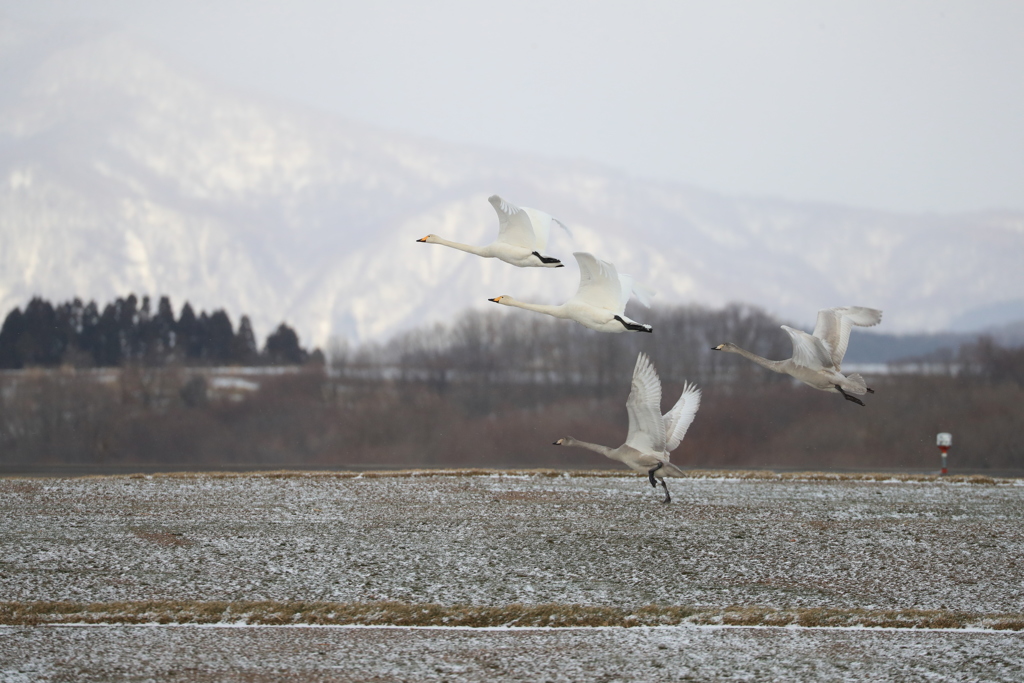 Take off.