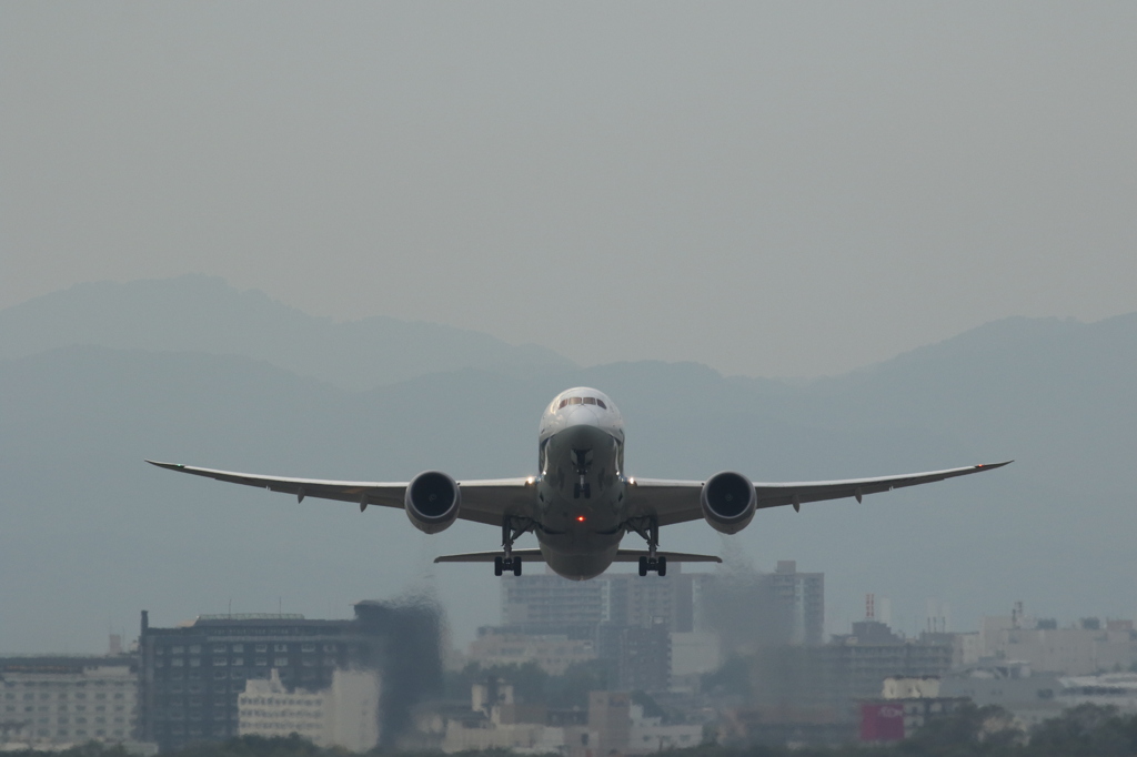 ANA B787-8 JA824A at HKD.