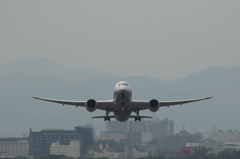 ANA B787-8 JA824A at HKD.