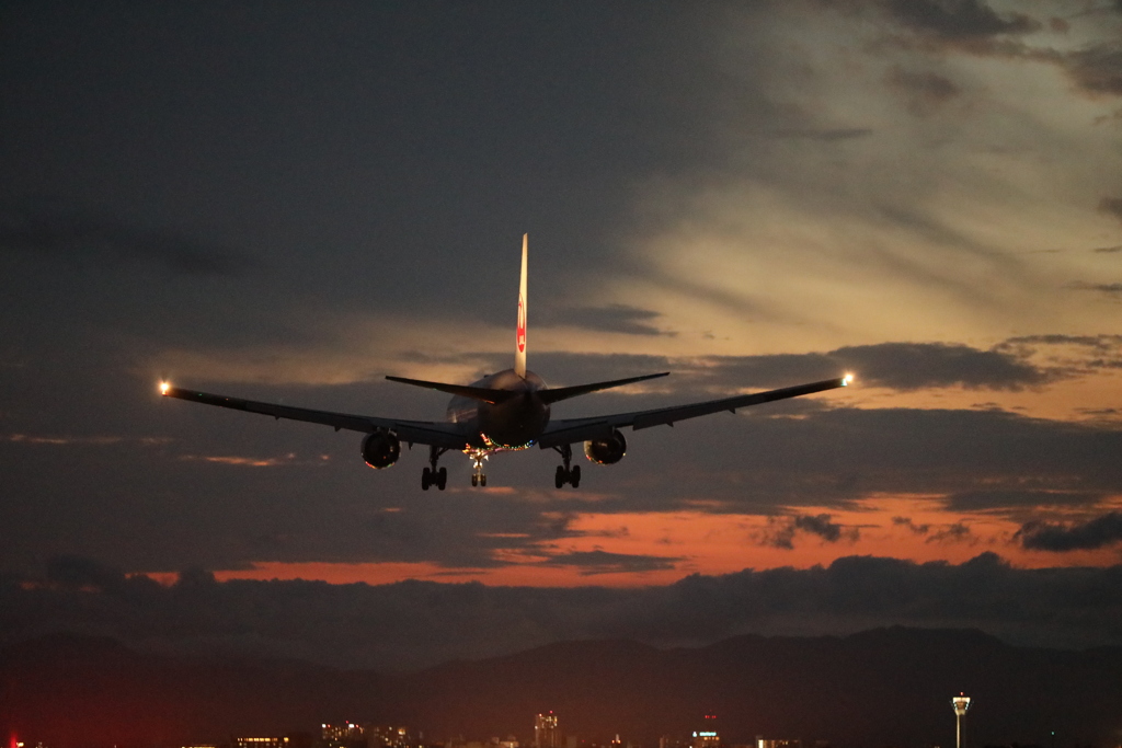 JAL B6の到着