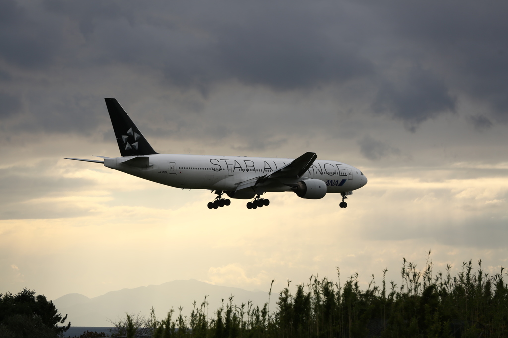 My favorite Star Alliance　B777.