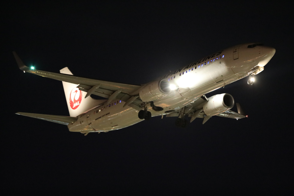 夜撮　②