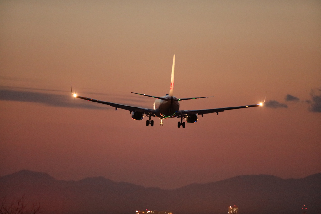 JAL JA327J