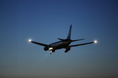 Blue in Dark blue.　ANA B763-300 (JA8670)