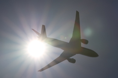 眩しい。