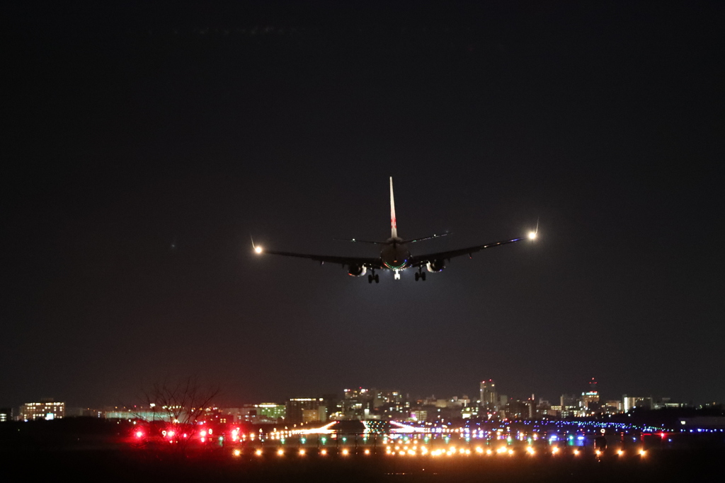 JAL 最終便