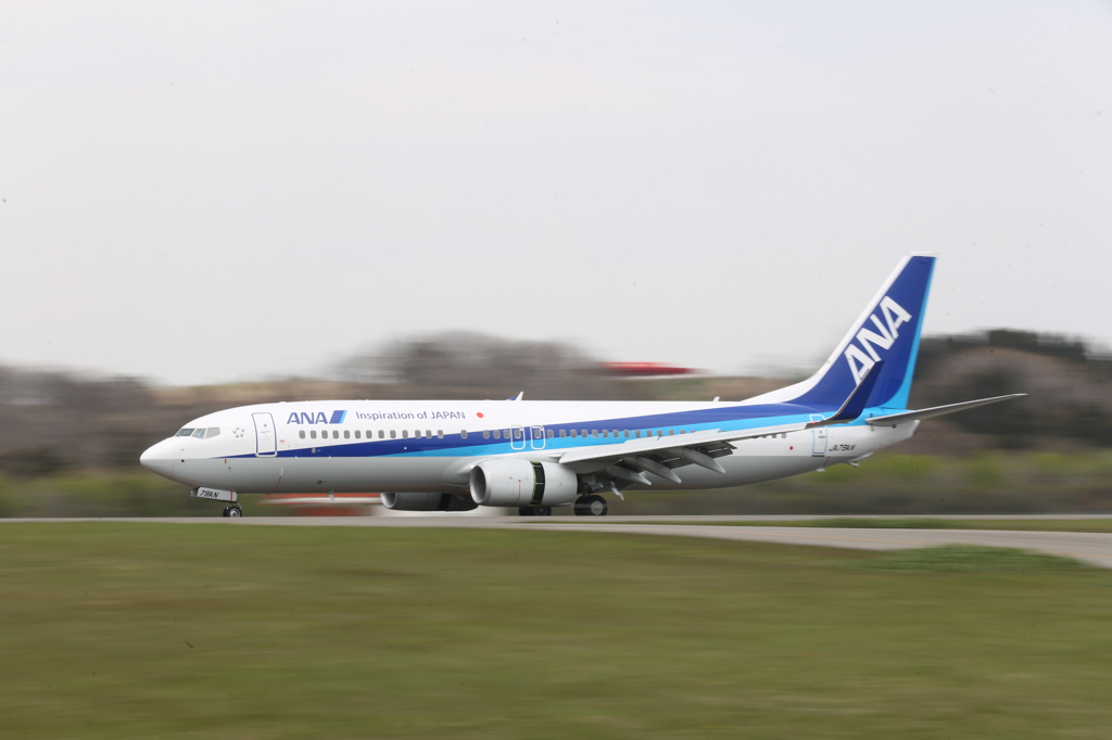 ANA  B738 (JA79AN)