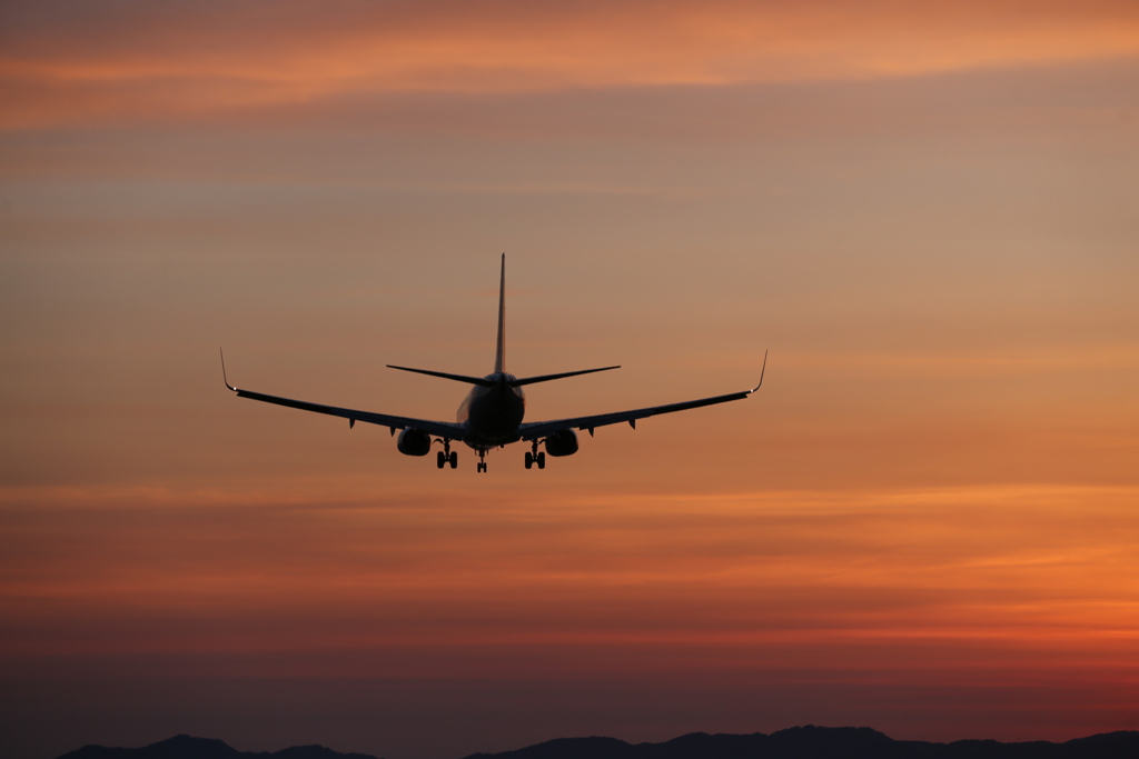 夕焼け競演　①　JAL　B737-800　（JA339J)