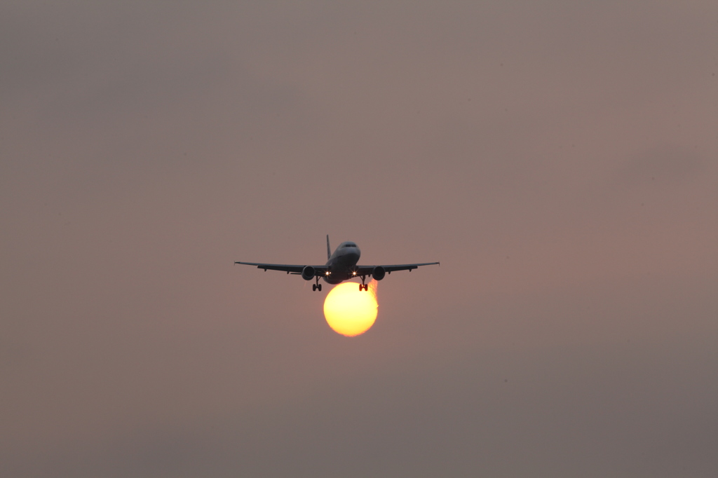 夕方の太陽を越えて。