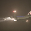 JAL 最終便