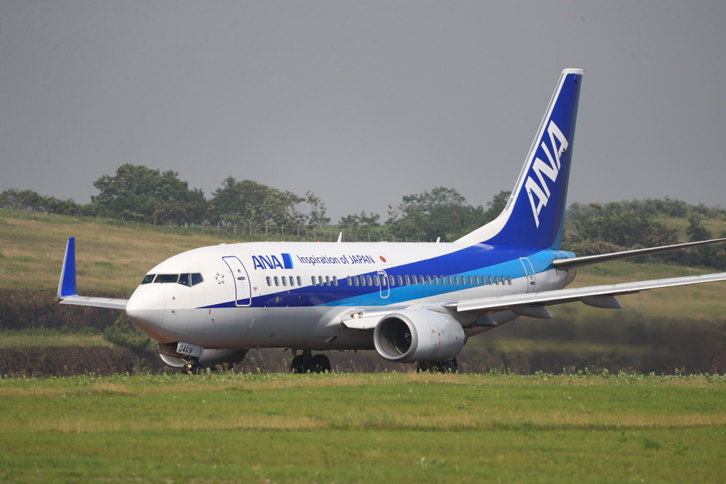 ANA B737-700