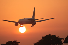 JAL B767－300