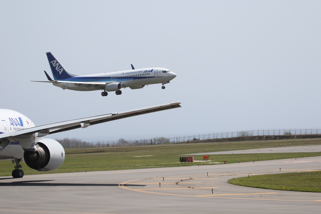 お待ちいただきありがとうございます。